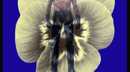 Self-portrait titled "Yellow Leather Pansy, 2024" by John Paradiso features a person in leather attire on a chiffon pansy fabric background, with acrylic varnish on wood panel, framed in wood, 14" x 14".